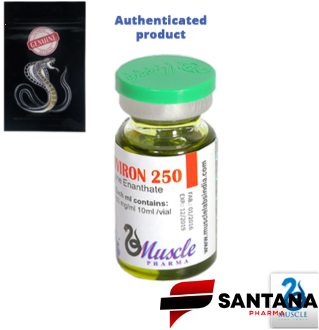 Testoviron (Enantato de Testosterona) 250mg/10ml - Muscle Pharma