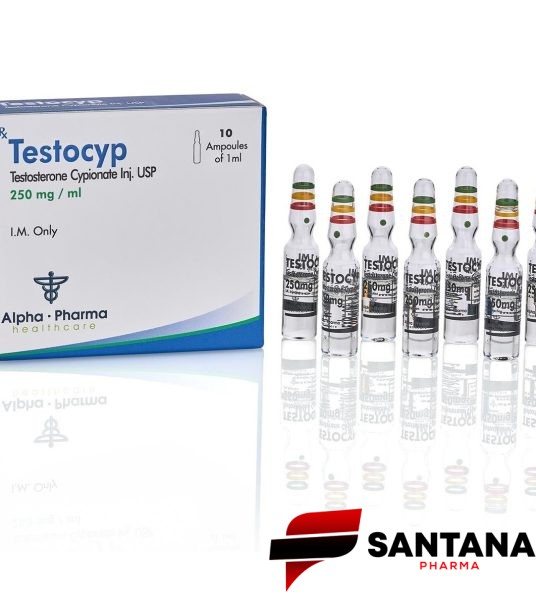 Testocyp (Cipionato de Testosterona) 250mg / 10ml - Alpha Pharma
